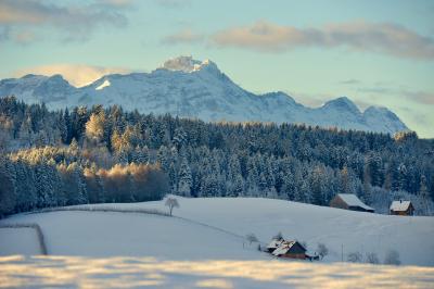 Alpstein Sicht von St.Georgen - 24.02.2016_3516