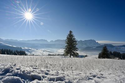 Appenzell 12.12.2022_2367